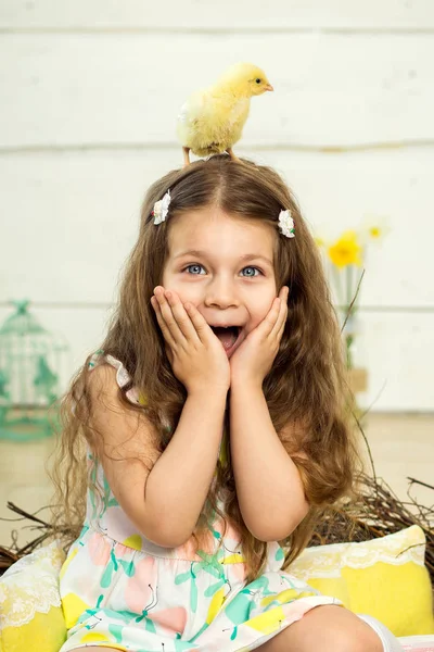 Una niña asustada tiene un lindo pollo esponjoso de Pascua en su cabeza —  Fotos de Stock