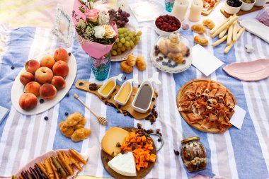 Lezzetli yemekler ve snacks bu yaz piknik mavi battaniye. Yaz hafta sonları