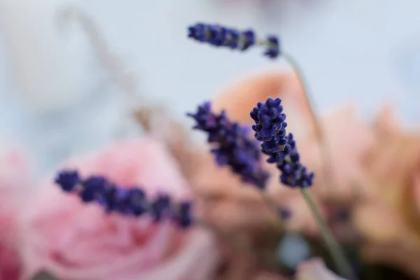Macro purple spike fresh flower. wedding fresh flowers decoration