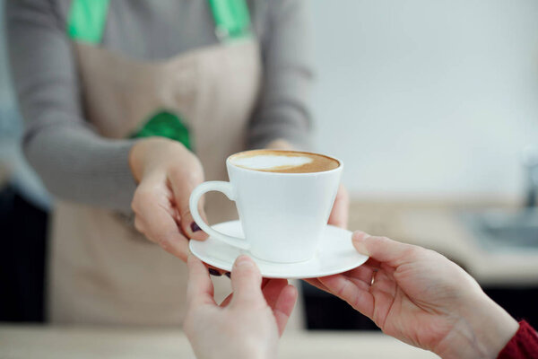 Barista in apron in coffee shop give just brewed fresh coffee to