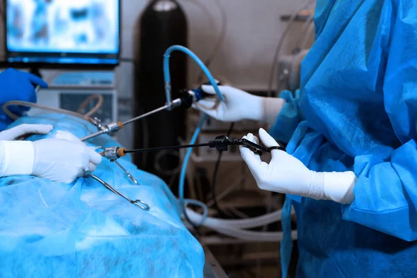 Ветеринар виконує операцію по стерилізації. Кіт на опері — стокове фото