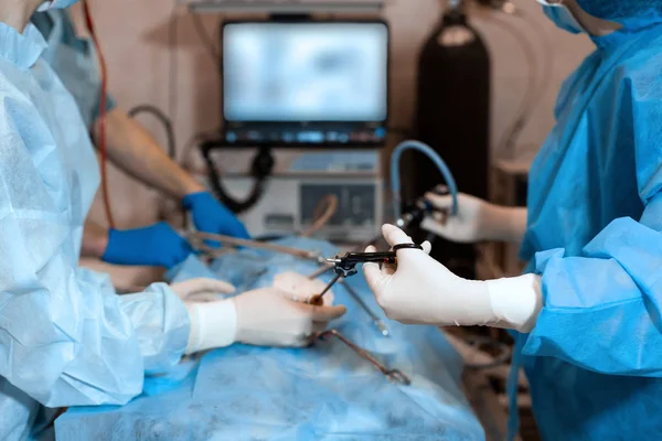 Vet doing the operation for sterilization. The cat on the operat — Stock Photo, Image