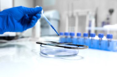 bilim adamı kan örneği için araştırma mikroskobu hazırlayın. Placi