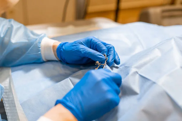 Vet surgeon assistant cover dog patient by sterile cover. preparing to vet surgical operation