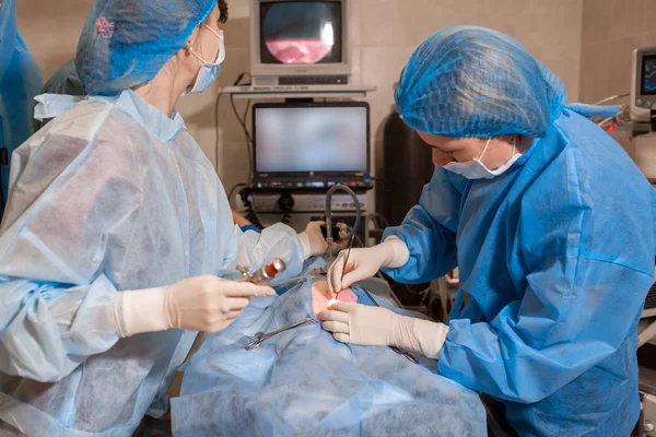 Veterinário ou médicos que fazem cirurgia na clínica. medicina, animal de estimação, animais, saúde e conceito de pessoas — Fotografia de Stock