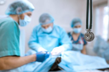 Bir maske ve elbisesi içinde deneyimli bir veteriner bir yardımcı ve anestezist ile steril bir ameliyathane bir Pet Köpek çalışır