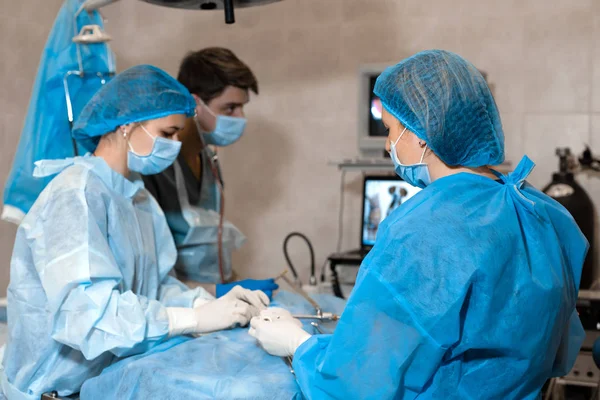 Vet doing the operation for sterilization. The cat on the operat — Stock Photo, Image