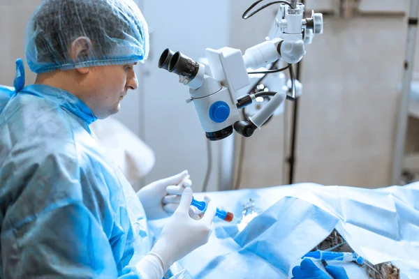 Oftalmologista veterinário fazer cirurgia no olho ferido cão — Fotografia de Stock