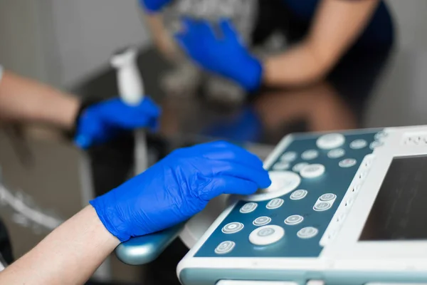 A veterinarian does an ultrasound of the dog's eye in the office — Stock Photo, Image