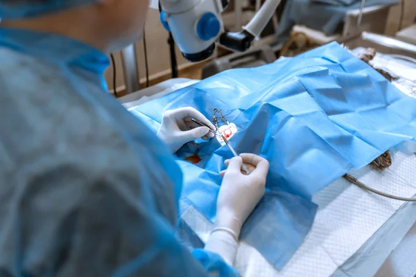 Ein professioneller Augenarzt führt Augenoperationen unter dem Mikroskop durch. Der Arzt führte den Dilatator in das Auge ein, wusch und entfernte Eiter mit einer Spritze. Endoskopische Augenchirurgie. Medizinische Geräte — Stockfoto