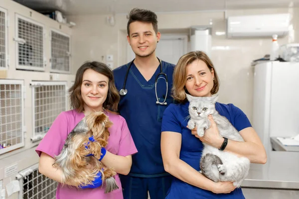 Sorrindo jovem equipe veterinária de jovens profissionais. Aguenta aí. — Fotografia de Stock