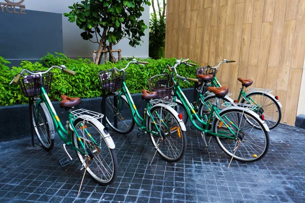 Парковка Велосипедов Возле Зеленого Дерева — стоковое фото