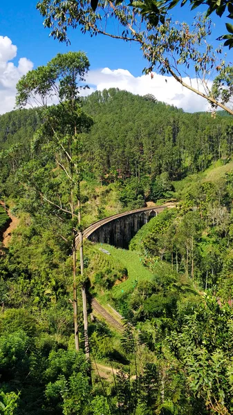 Top view of the railway in the jungle and the famous nine-arch bridge.