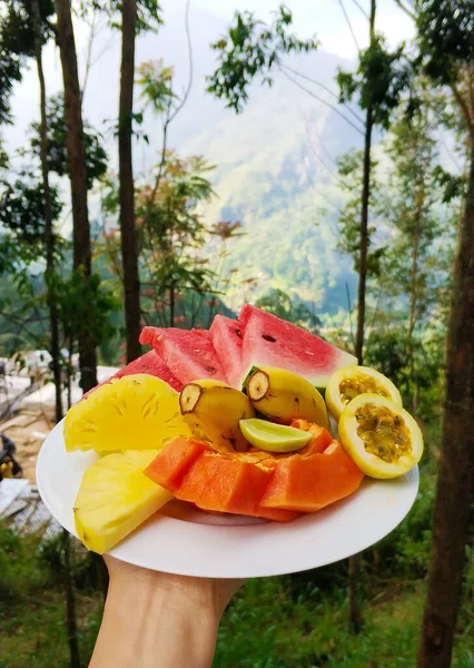 Fruit plate. Fresh, juicy fruits in a plate on a background of mountains.