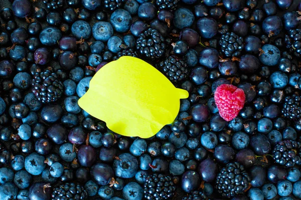 Mescoli Una Serie Tipi Diversi Bacche Nere Con Posto Testo — Foto Stock