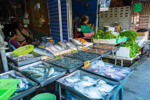 Frutos Mar Frescos Balcão Mercado Peixe Junto Oceano Samui Alfaiate — Fotografia de Stock