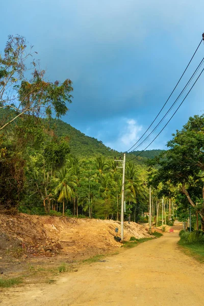 Linha Eléctrica Selva Civilização Vem Para Selva Tropical Selvagem — Fotografia de Stock