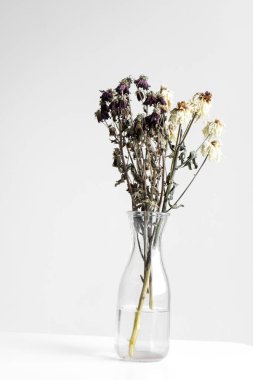 Beyaz arka planda solmuş çiçek buketi.