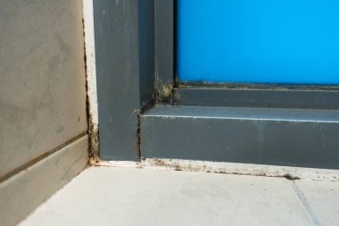 Duştaki eski plastik pencere çerçevesi. Küflü açı, mantar. Sorunlu alanlar duş alıyor