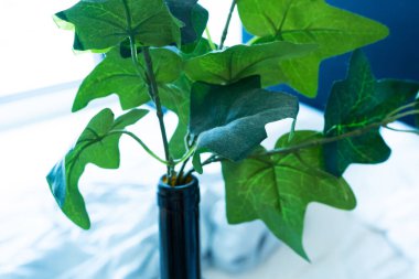 İç mekanın dekoru. Şişedeki plastik çiçek. Yeşil yapraklar. Ölü çiçekler.