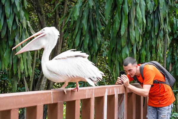 Tipo Tira Uma Selfie Lado Pelicano Branco Num Parque Verde — Fotografia de Stock