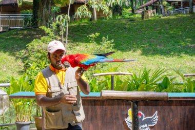 Kuş parkında kuşların olduğu bir gösteri. Papağanlı bir antrenör. Kuala Lumpur / Malezya - 02.27.2020