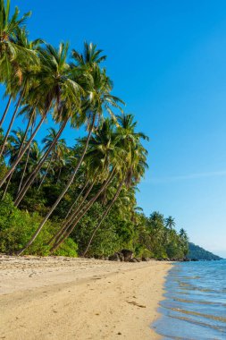 Cennetin kumsalındaki terk edilmiş tropikal ada. Sahilde asılmış palmiye ağaçları. Beyaz kum. Okyanusun mavi suyu. İnsanlardan uzak dur..