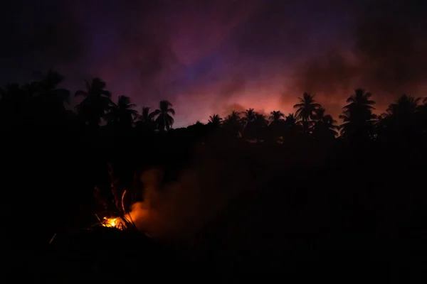 Smoke from a bonfire in a rainforest at sunset. Fires in the forest. Smoke on the background of palm trees at sunset.