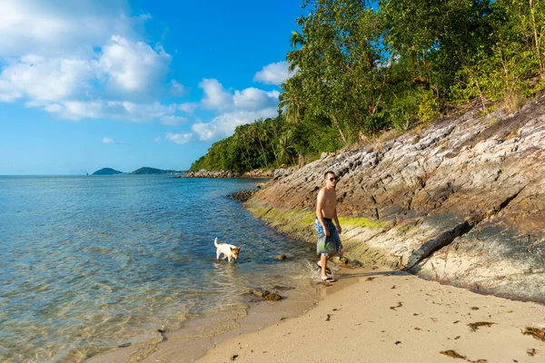 Cachorro Com Cara Caminha Longo Uma Praia Areia Junto Oceano — Fotografia de Stock