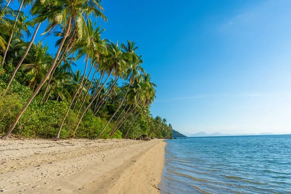 Zandstrand Van Een Paradijs Verlaten Tropisch Eiland Palmbomen Hangen Aan — Stockfoto