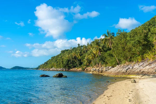 Spiaggia Sabbiosa Isola Tropicale Deserta Paradisiaca Palme Affacciano Sulla Spiaggia — Foto Stock