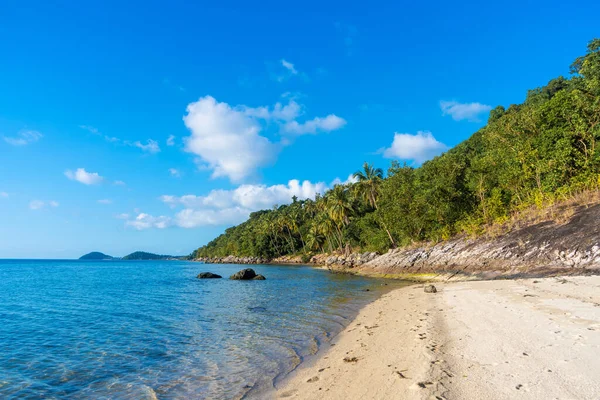 Playa Arena Una Isla Tropical Desierta Paradisíaca Palmeras Sobresalen Playa —  Fotos de Stock