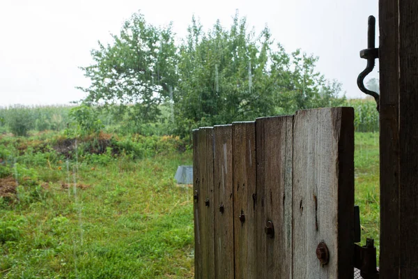 雨落在村舍的院子里 绿色自然 — 图库照片