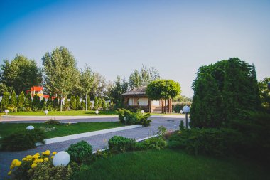 Yeşil bir parkta yürüyüş yolu. Çiçekleri, yeşil çalıları ve ağaçları olan yeşil bir park..