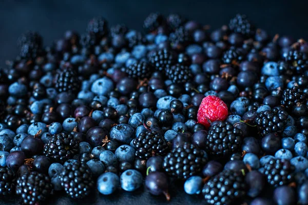 Uniqueness Concept Others Red Raspberry Heap Mix Black Berries Mulberry — Stock Photo, Image