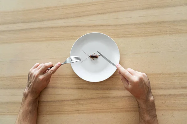 Bovenaanzicht Een Man Die Een Kakkerlak Eet Kakkerlak Een Wit — Stockfoto