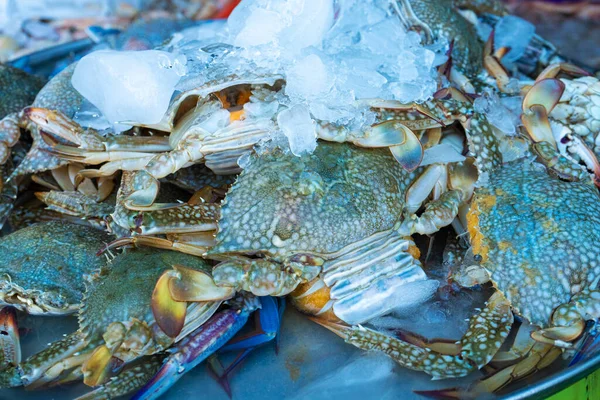 어시장에서 식하는 해산물 — 스톡 사진