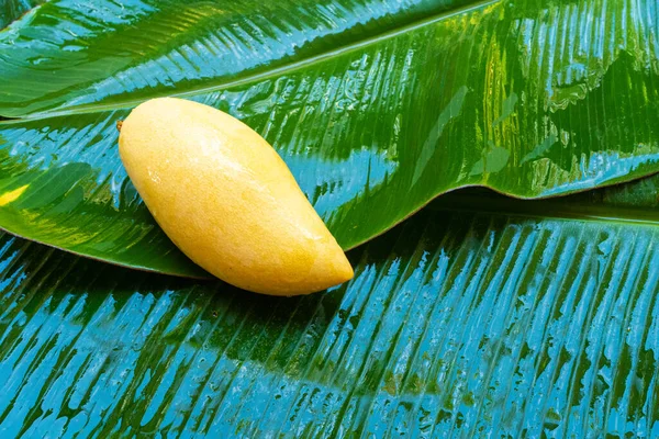 Zralé Žluté Mango Ovoce Mokrém Banánovém Listu Přírodní Potraviny — Stock fotografie