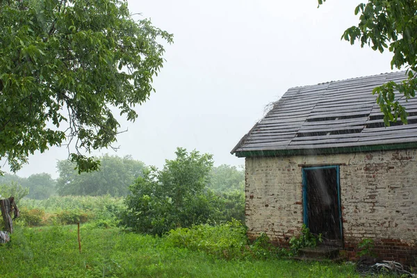 在一个遥远的村子里一座废弃的老房子附近下着大雨 绿色自然 — 图库照片