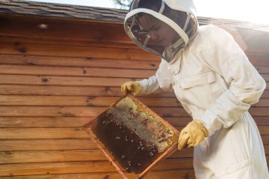 Genç dişi arı yetiştiricisi ahşap çerçeveyi bal peteğiyle tutuyor. Bal topla. Arıcılık konsepti.