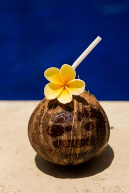 Havuz kenarında sarı çiçekli hindistan cevizi içeceği