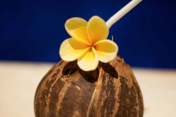 Tropisches Kokosgetränk Mit Gelben Blüten Schwimmbadrand Hotel Entspannend — Stockfoto