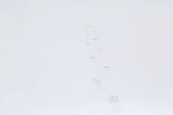 白い雪の中の男の足跡 — ストック写真