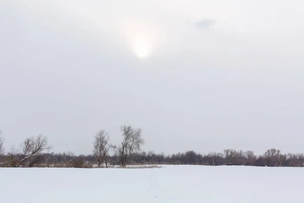Зимовий Пейзаж Снігопад Полі — стокове фото