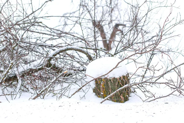 Χειμερινό Τοπίο Υπαίθρου Ερειπωμένο Εγκαταλελειμμένο Ερειπωμένο Κτίριο Καλυμμένο Χιόνι — Φωτογραφία Αρχείου