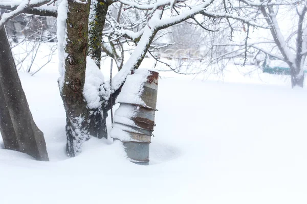 冬の田園風景 雪で覆われた庭の錆びた金属バケツ — ストック写真