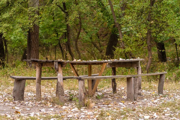 A table and two benches from a rough log house. Recreation area in the forest.