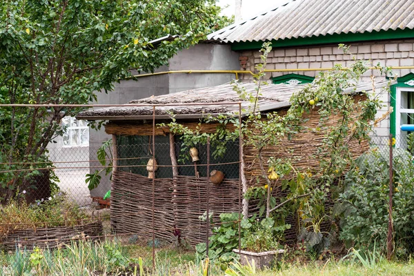 Árbol Exterior Tejido Ramas Jardín Cerca Casa Pueblo —  Fotos de Stock