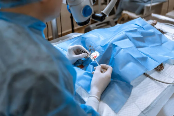 一位专业眼科医生用显微镜进行眼科手术 医生把扩张器插入眼睛 用注射器洗净和去除脓汁 内窥镜眼科手术医疗设备 — 图库照片