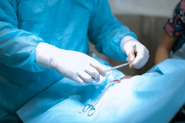 the surgeon applies a surgical clamp to stop the bleeding. Group of surgeon at work.